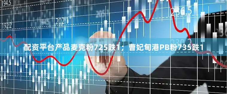 配资平台产品麦克粉725跌1；曹妃甸港PB粉735跌1