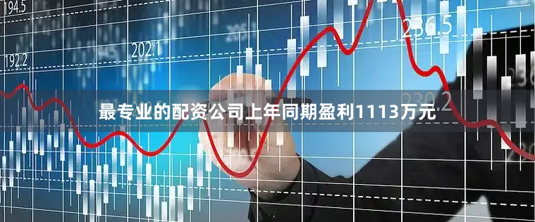 最专业的配资公司上年同期盈利1113万元