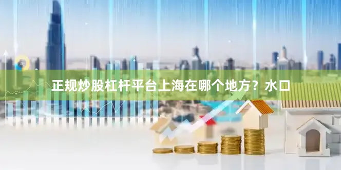 正规炒股杠杆平台上海在哪个地方？水口